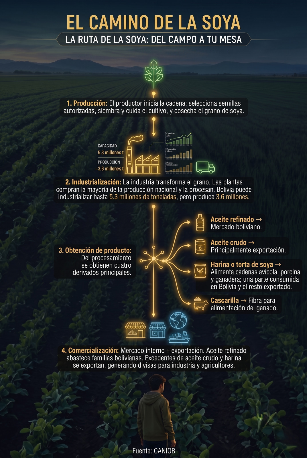Viaje de la soya