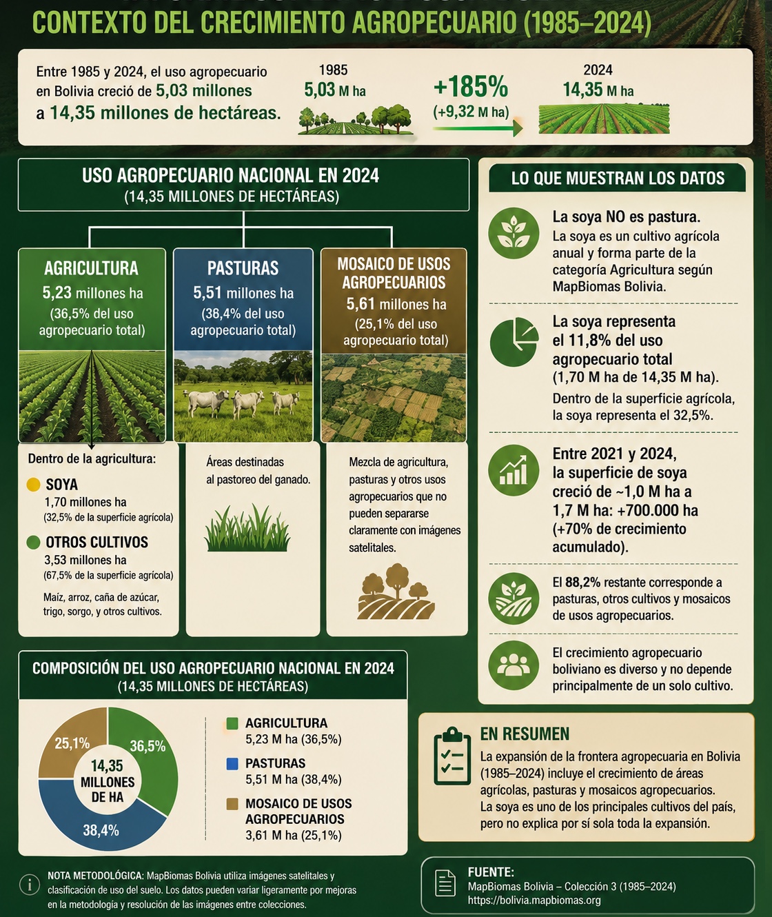Verificación ambiental