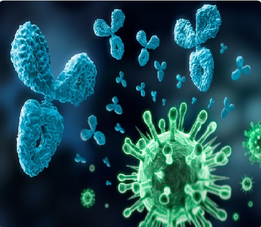 Foto: News Medical, Anticuerpo y virus - concepto visual del sistema inmune 