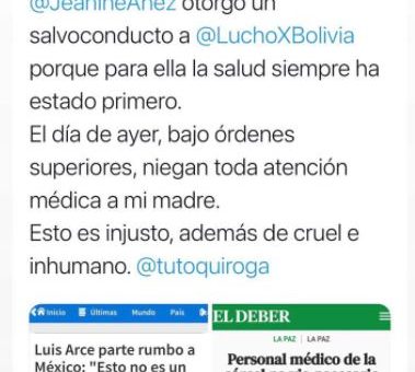 Verdadero: gobierno de Áñez entregó salvoconducto a Luis Arce