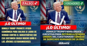 WhatsApp-Image-2025-07-09-at-20.38.49