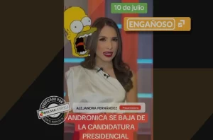 WhatsApp-Image-2025-07-11-at-3.30.45-PM-_1_