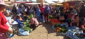 WhatsApp Image 2025-08-05 at 16.58.25