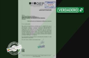 tse verificaa