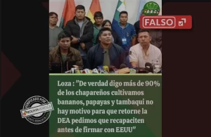 Loza-falso