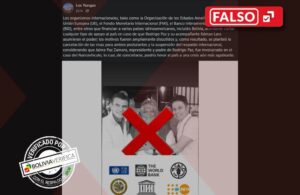 WhatsApp Image 2025-10-19 at 15.55.31