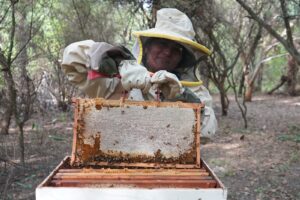 WhatsApp Image 2025-12-16 at 12.18.10 (1)