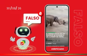 Andrea Copia de OFICIAL Olivia Verifica (39)